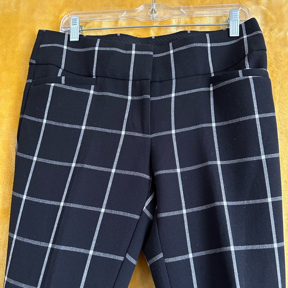 Loft Dress Pant